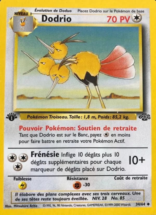 Carta Dodrio