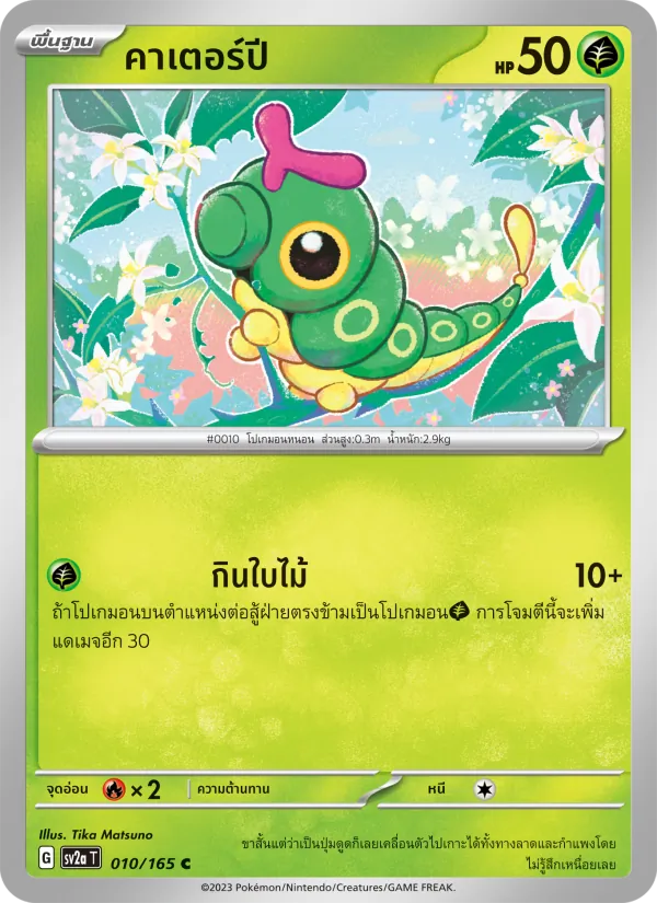 Carta คาเตอร์ปี