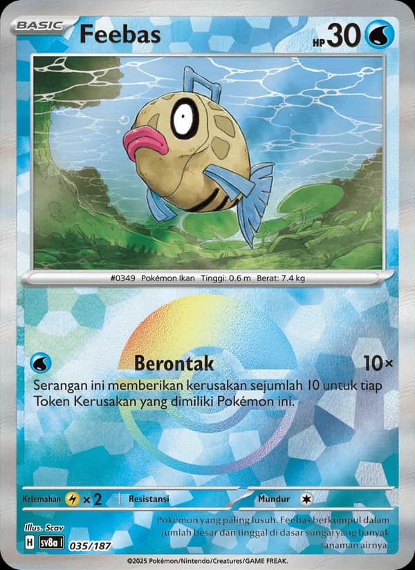 Carta Feebas